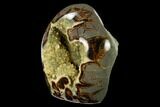 Polished, Crystal Filled Septarian Nodule - Utah #170010-2